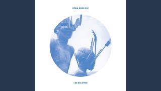 They Worshipped Cats