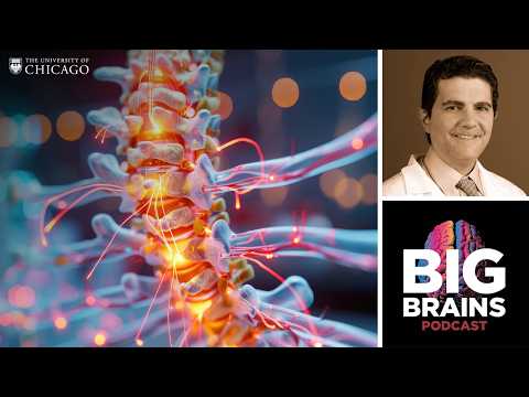 Remarkable New Treatments for Spinal Cord Injuries, with Mohamad Bydon