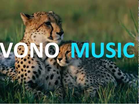 Bisbetic & JP Candela - Ghepardo