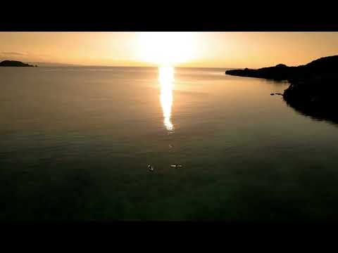 動画1