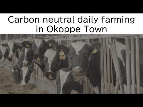 Carbon neutral dairy firming in Okoppe Town