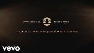 Aquellas Pequeñas Cosas Lyrics English Translation