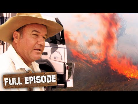 Spark from Truck Starts a Wild Grass Fire 😱 | Keeping Up with the Joneses Ep 2 | Untamed