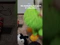 Thx For 21 Subscribers