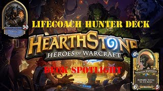 Lifecoach Sunshine Hunter Deck Spotlight - Budget Deck