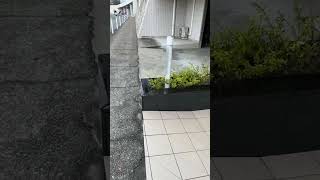 ライブ ハイライト
