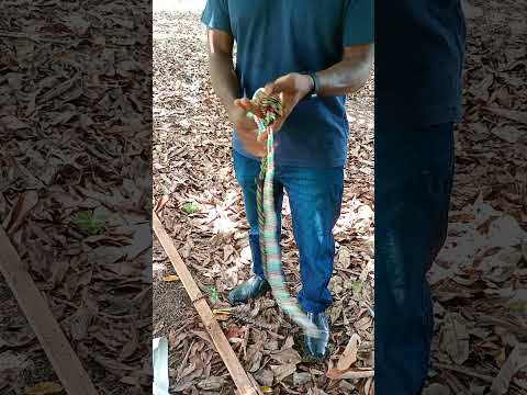 Completa curso em Oeiras do Pará. Outubro de 2025.