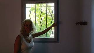 Mostiglass visualisation