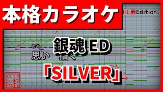 【歌詞付カラオケ】SILVER(RIZE)(銀魂ED)【野田工房cover】