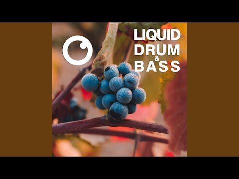 Liquid Drum & Bass Sessions 2021 Vol 42