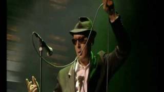 Alain Bashung - Angora irréel