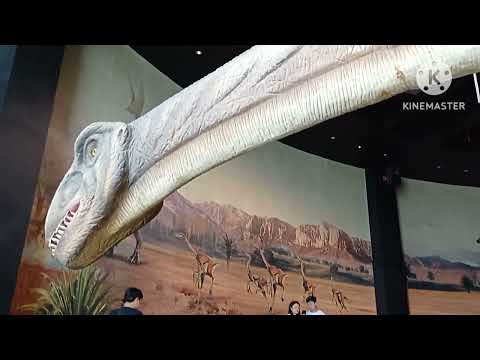 Chalermprakiat National Geological Museum