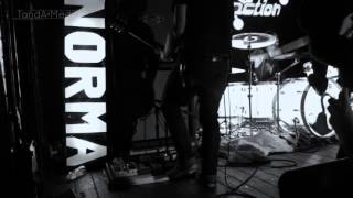 Norma Jean- "Charactarantula: Talking To You And The Intake Of Glass" (Live)