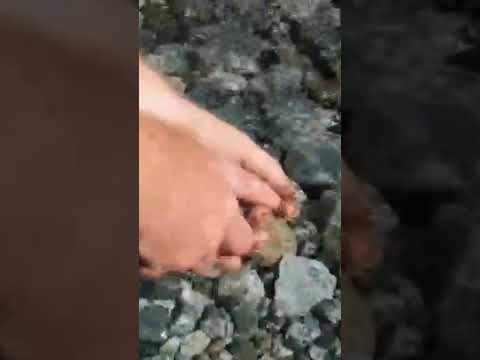 Fishing A Crystal Clear Creek (Part One)