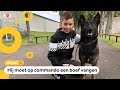 Is hond Nero de beste politiehond van Nederland?