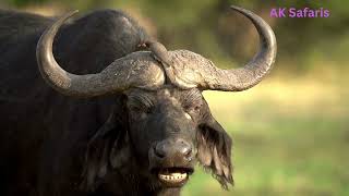 The National Anthem of Botswana - &quot;Fatshe leno la rona&quot;