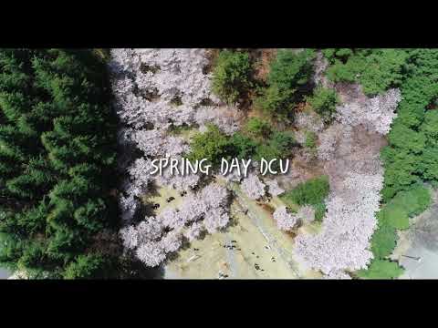 Spring Snow - DCU Daegu Catholic University YouTube Thumbnail