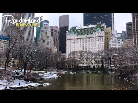 download lagu mp3 mp4 Home Alone 2 House Address New York, download lagu Home Alone 2 House Address New York gratis, unduh video klip Home Alone 2 House Address New York