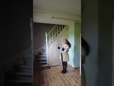 Vidéo