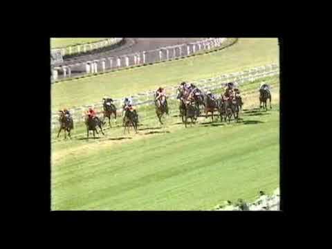 1988 Doomben Ten Thousand - Campaign King