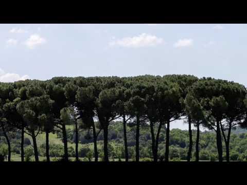 Wurttemberg Chamber Orchestra - K and K Impressions feat. Antoni