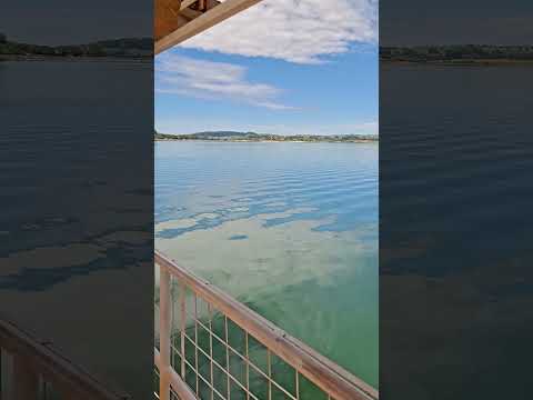 Minas Gerais - Delfinopolis 🙂‍↕️