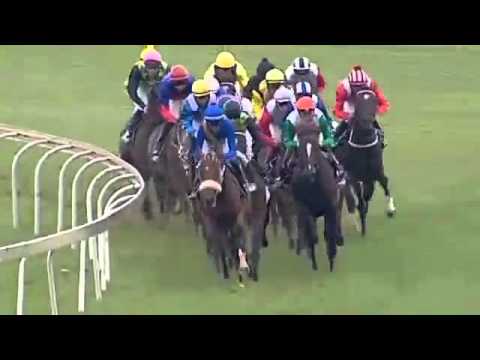 Group 2 Gauteng Guineas - Harry's Son