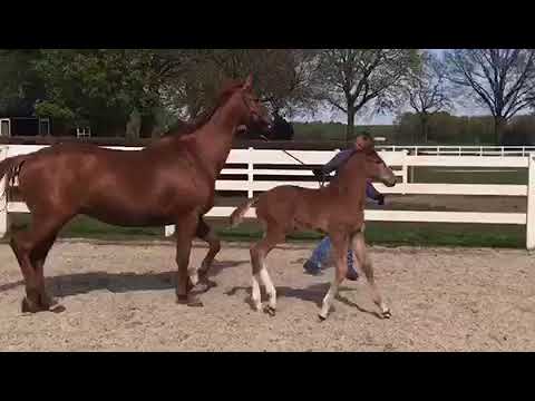 Zarinetta en mowgli (v.Toto jr)