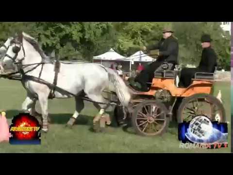 ROMANIA TV 1 ---- TRASURI CU DOI CAI IN CONCURS