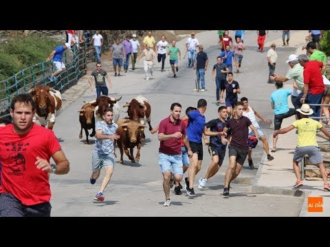 Pasión