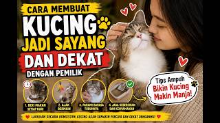 Download lagu Cara Membuat Kucing Jadi Sayang dan Dekat dengan Pemilik | Tips Ampuh Bikin Kucing Makin Manja mp3 Download lagu Cara Membuat Kucing Jadi Sayang dan Dekat dengan Pemilik | Tips Ampuh Bikin Kucing Makin Manja mp3