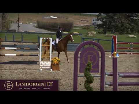 Lamborgini EF Jumping