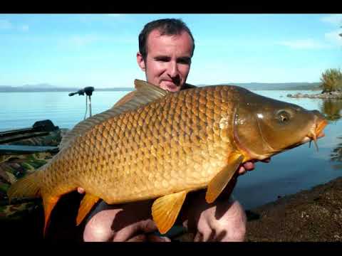 Italia carp fishing 2012