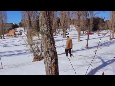 How nature kills those who think they're stronger