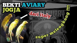 Download lagu Review Kenari Scotch Fancy Ring FOI Italy Bekti Aviary Jogja #kenarijogja mp3 Download lagu Review Kenari Scotch Fancy Ring FOI Italy Bekti Aviary Jogja #kenarijogja mp3