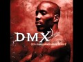 DMX - You Could Be Blind