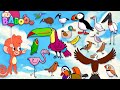 Animal ABC Learn Alphabet A To Z With 26 Cartoon Birds For Kids ABCD Wild Animals And Sounds