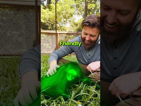 Friendly Or Not Friendly?