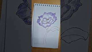 Download lagu Beautiful flower art by deba mp3 Download lagu Beautiful flower art by deba mp3