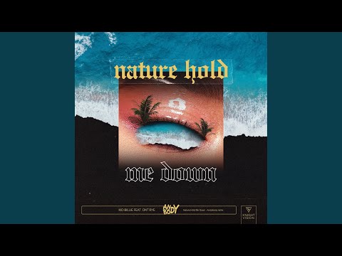Nature Hold Me Down (feat. DNT RYE) (Andybody Remix)