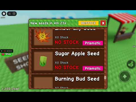 Team grow a garden per regalare i regali