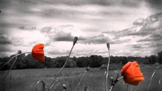 Peter Murphy _Dragnet Drag