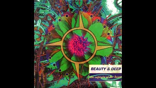Beauty And Deep ‎– The Captain Of Her Heart The Captain Of Her Heart (Club Mix)