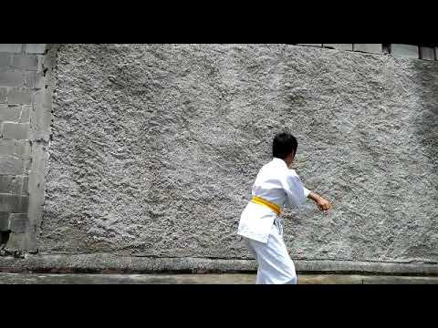 12-13 KATA MASCULINO, HEIAN NIDAN RONDA 3, JEREMY RAX
