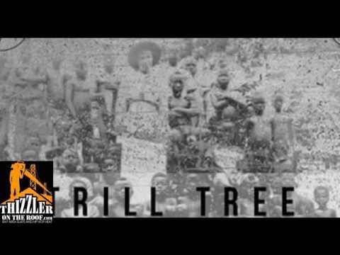 Trill Tree ft. Dave Steezy - Changin [Prod. The Boss] [Thizzler.om]