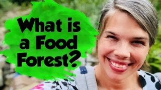 Food Forest 101: Zone 6 - 7 Food Forever Almost Zero Work | Food Forest Series #1