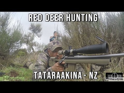 Hunting Red Deer NZ- Tataraakina September 2018