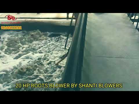 Twin Lobe Roots Blower