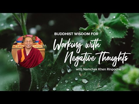 Buddhist Wisdom for Working with Negative Thoughts: Tools for Navigating Uncertain Times