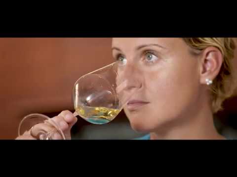 Explore Wines of Germany - Trailer